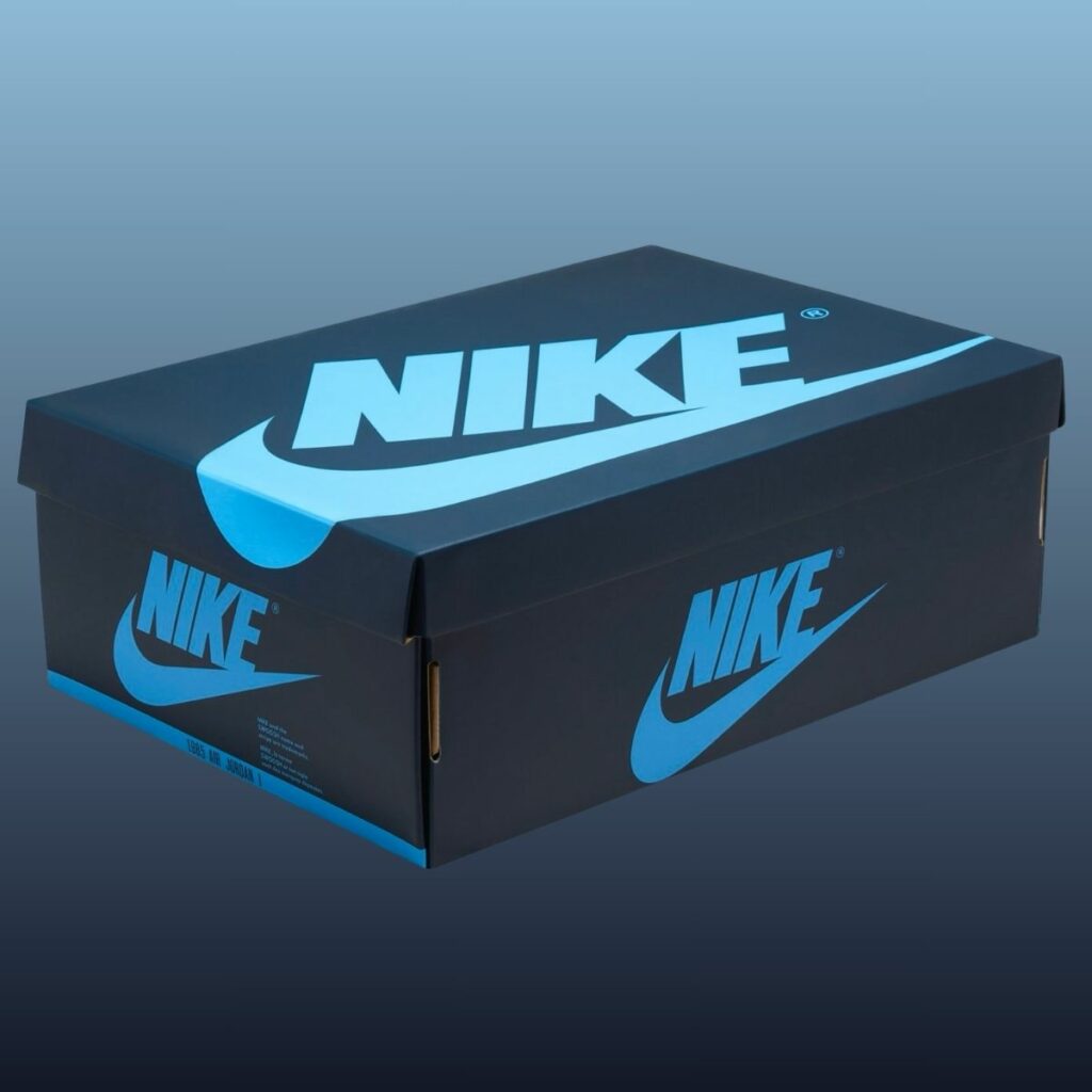 Air Jordan 1 First in Flight FD2596-400 Release Info