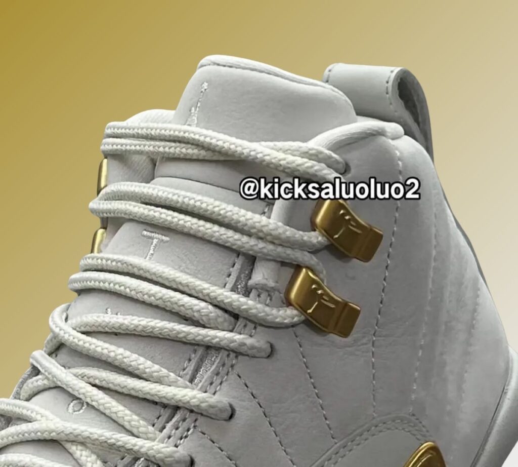 Air Jordan 12 Phantom FD9101-007