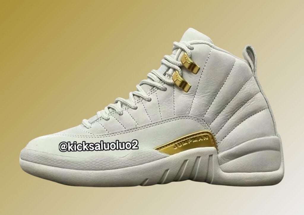 Air Jordan 12 Phantom FD9101-007