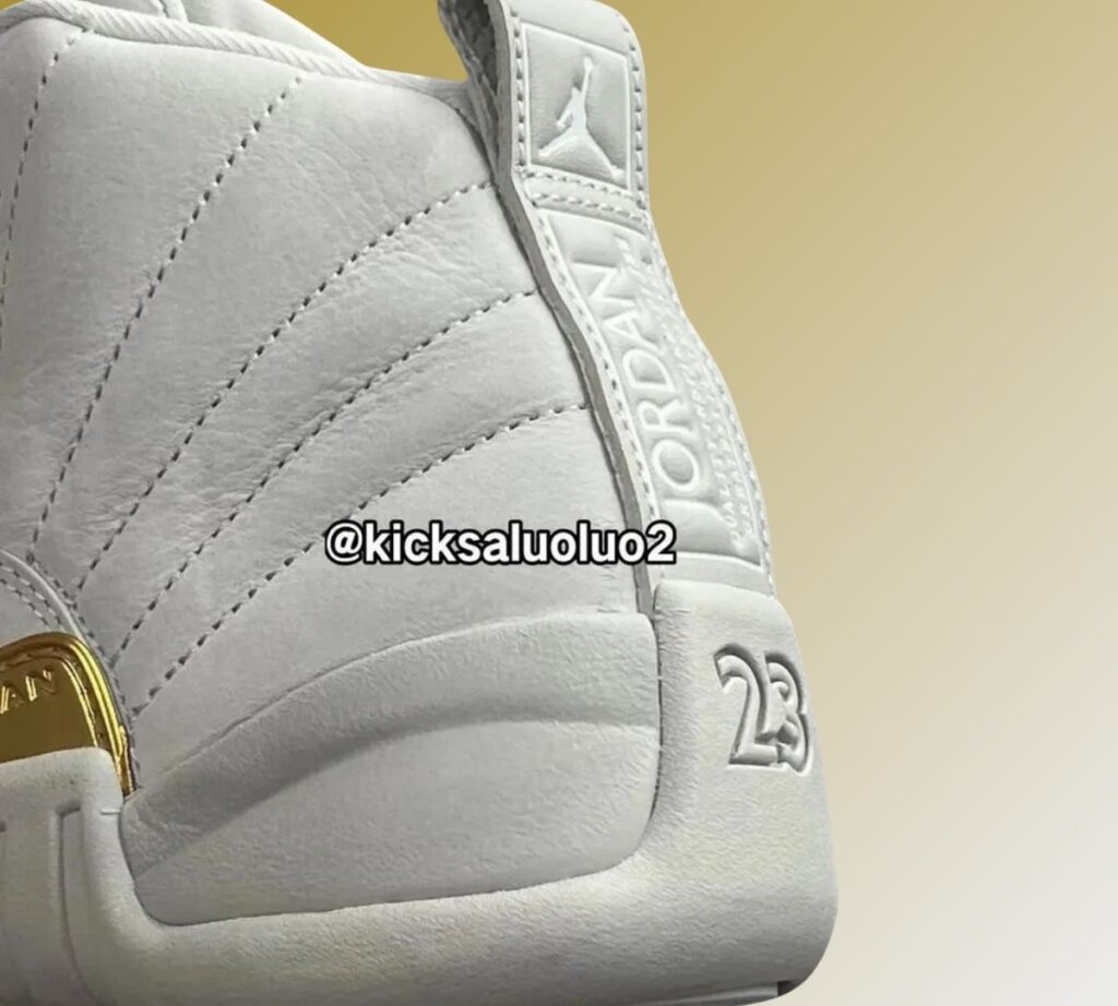 Air Jordan 12 Phantom FD9101-007