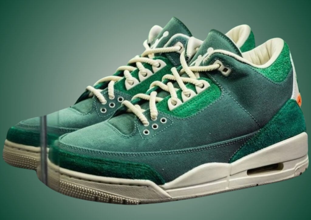 Nina Chanel Abney Air Jordan 3 Bicoastal FZ7974-300