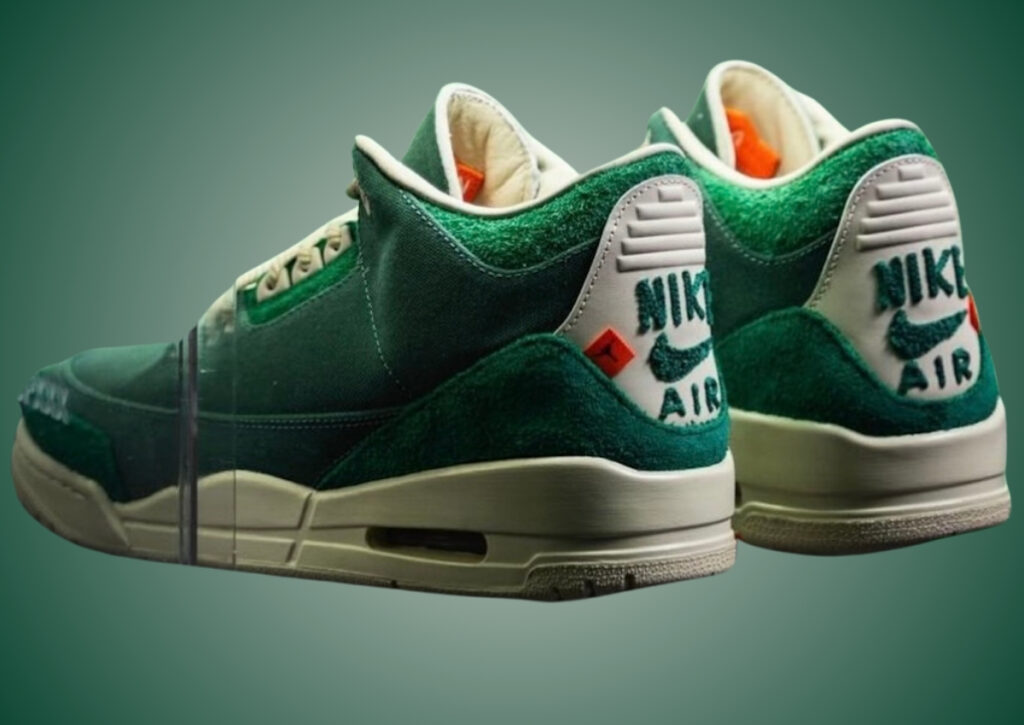 Nina Chanel Abney Air Jordan 3 Bicoastal FZ7974-300