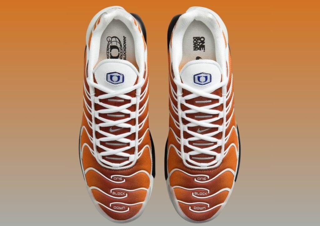One Block Down Nike Air Max Plus Chutney FZ3308-700